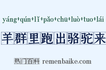 羊群里跑出骆驼来是什么意思的图片